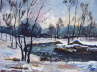 Moos im Winter